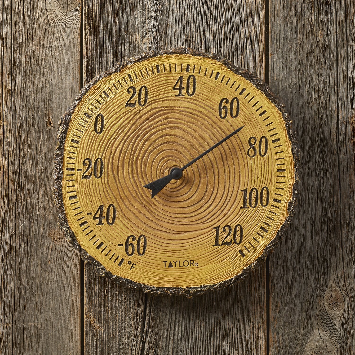 12" Tree Trunk Cross Section Thermometer - Image 4