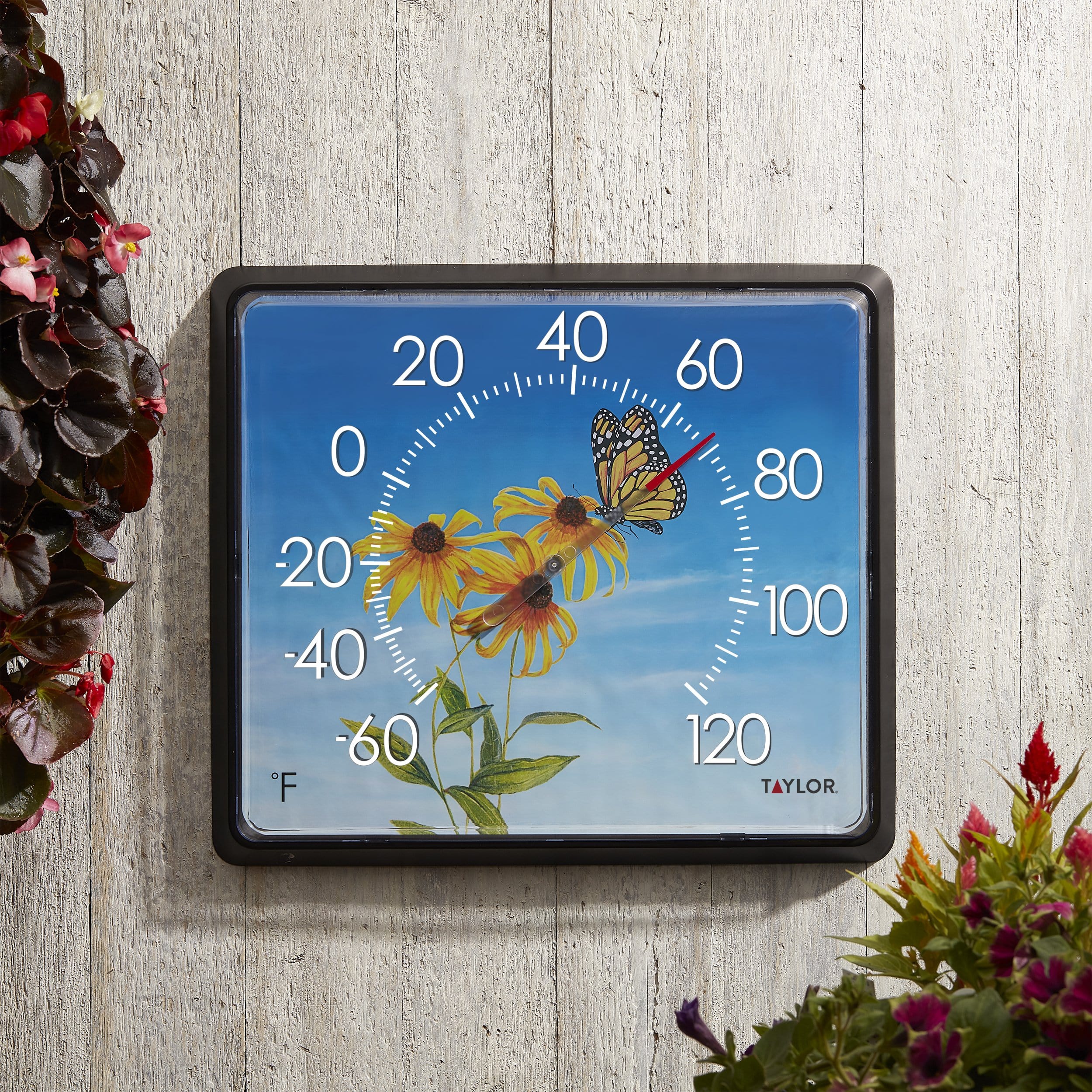 12" x 14" Dial Thermometer, Butterfly - Image 3