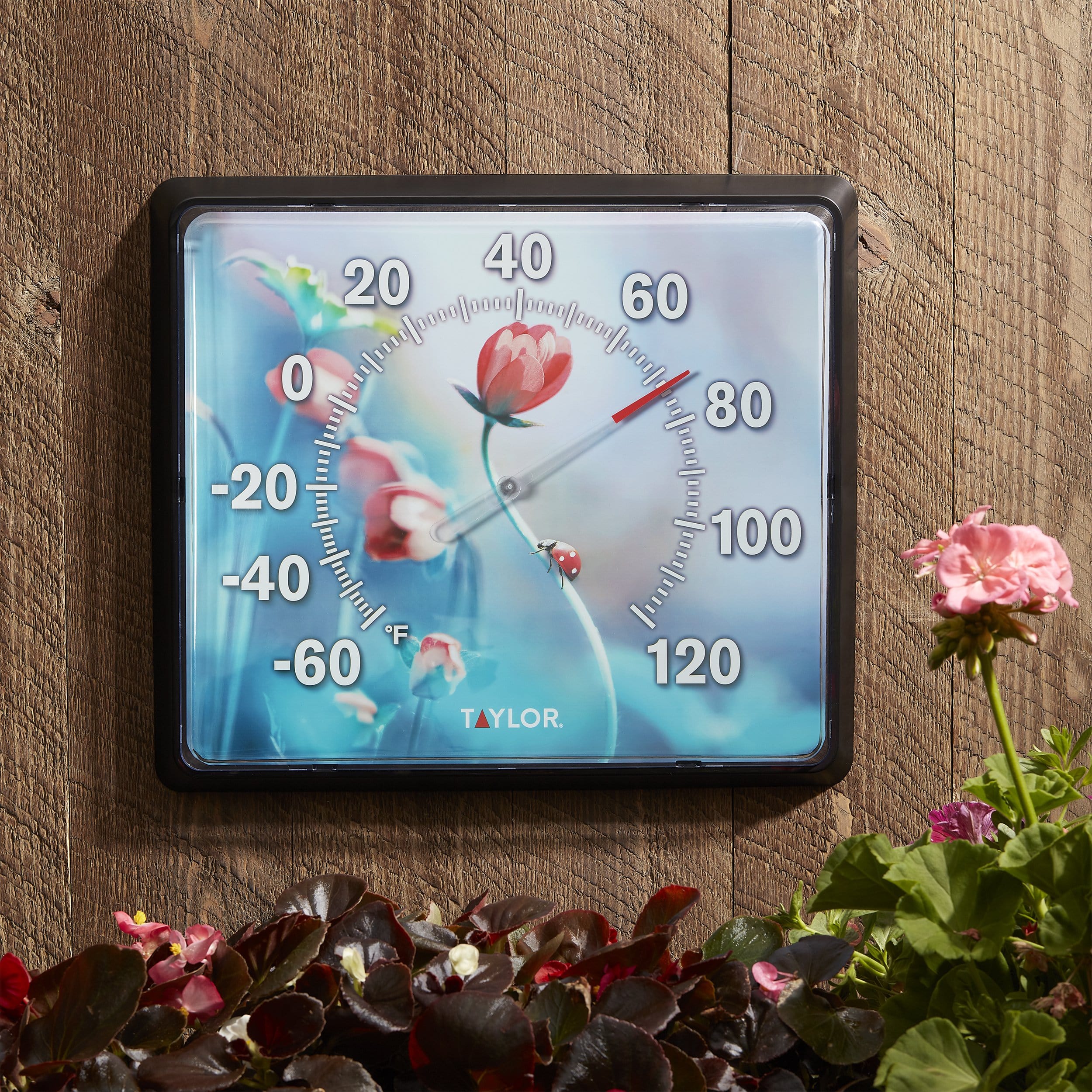 12" x 14" Dial Thermometer, Ladybug - Image 4