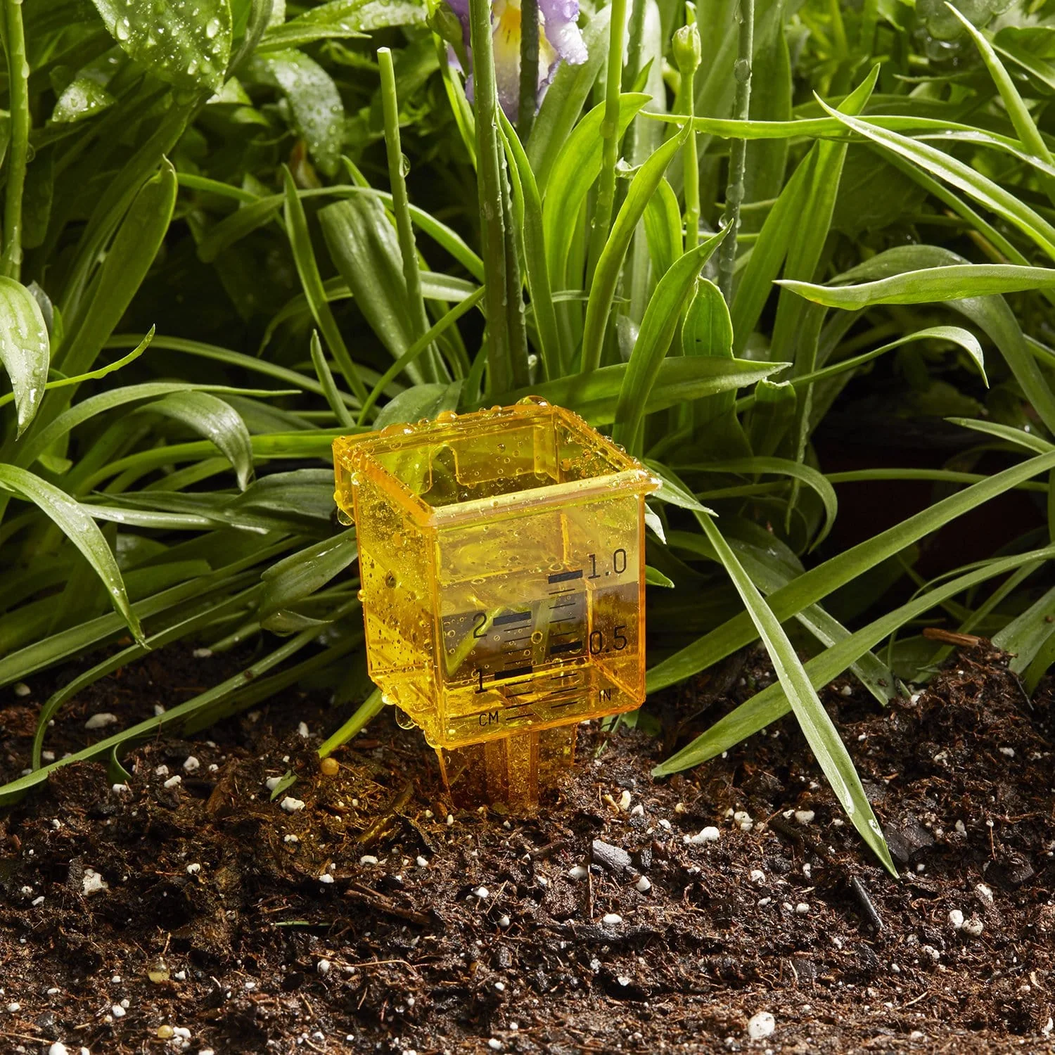 2-in-1 Rain and Sprinkler Gauge - Image 3