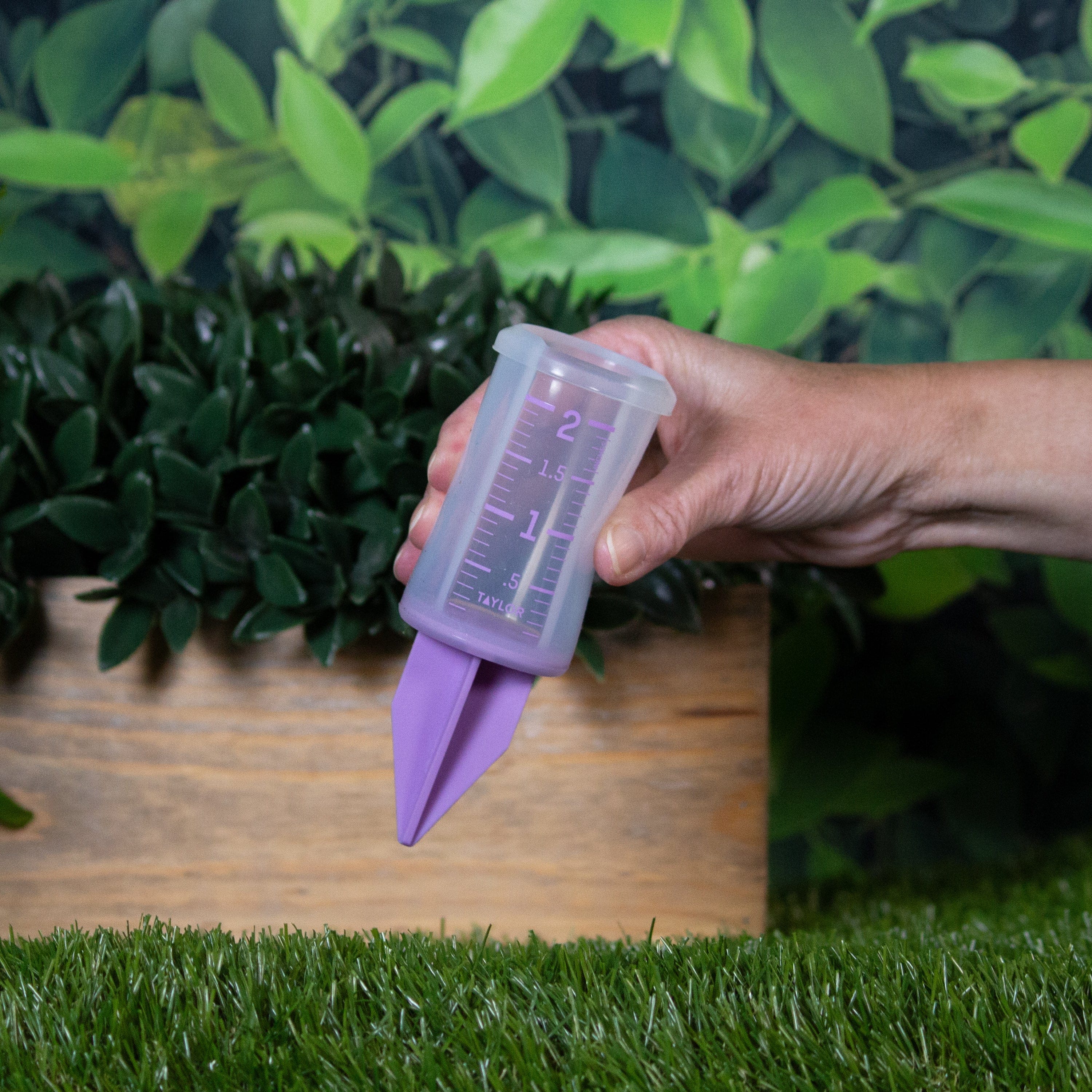 2" Silicone Sprinkler Gauge, Purple - Image 2