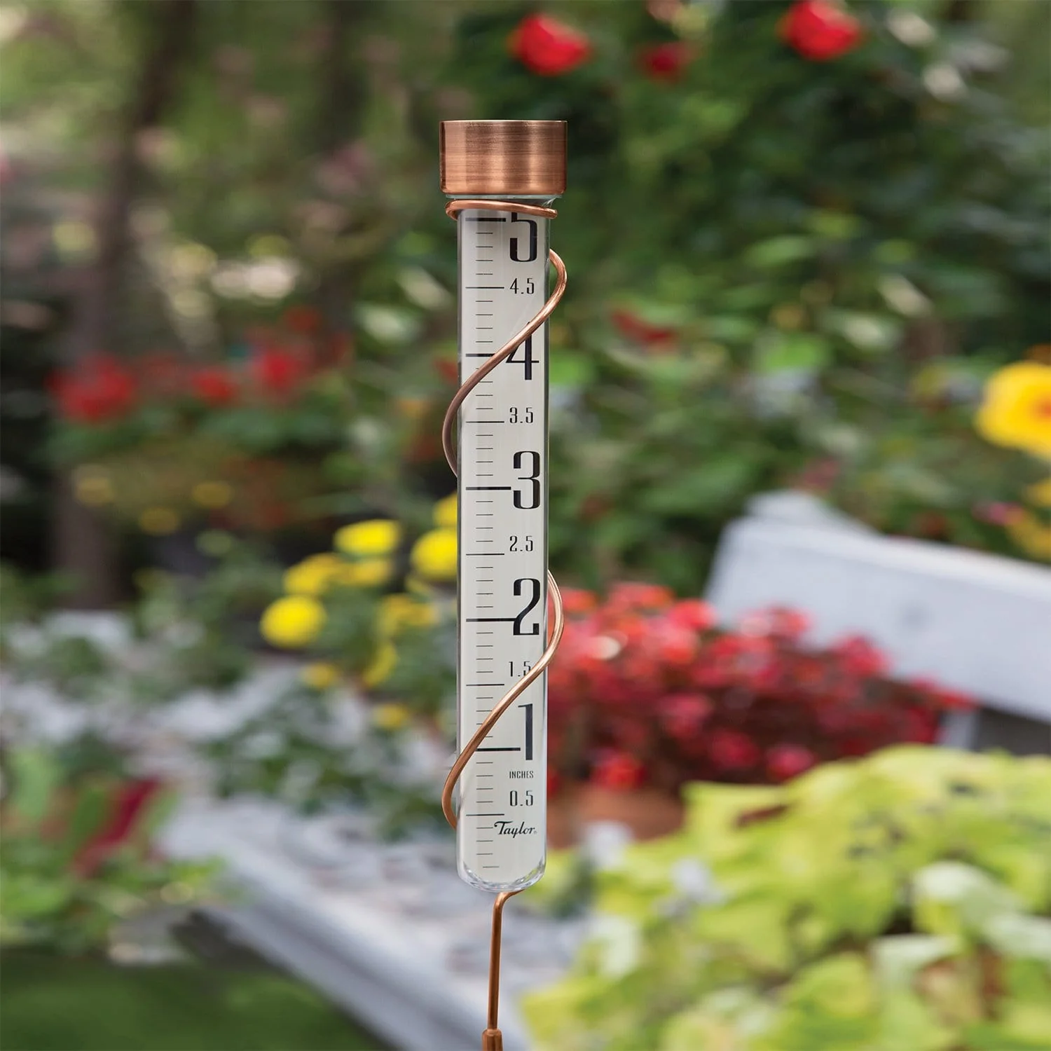 27" Glass Rain Gauge - Image 4