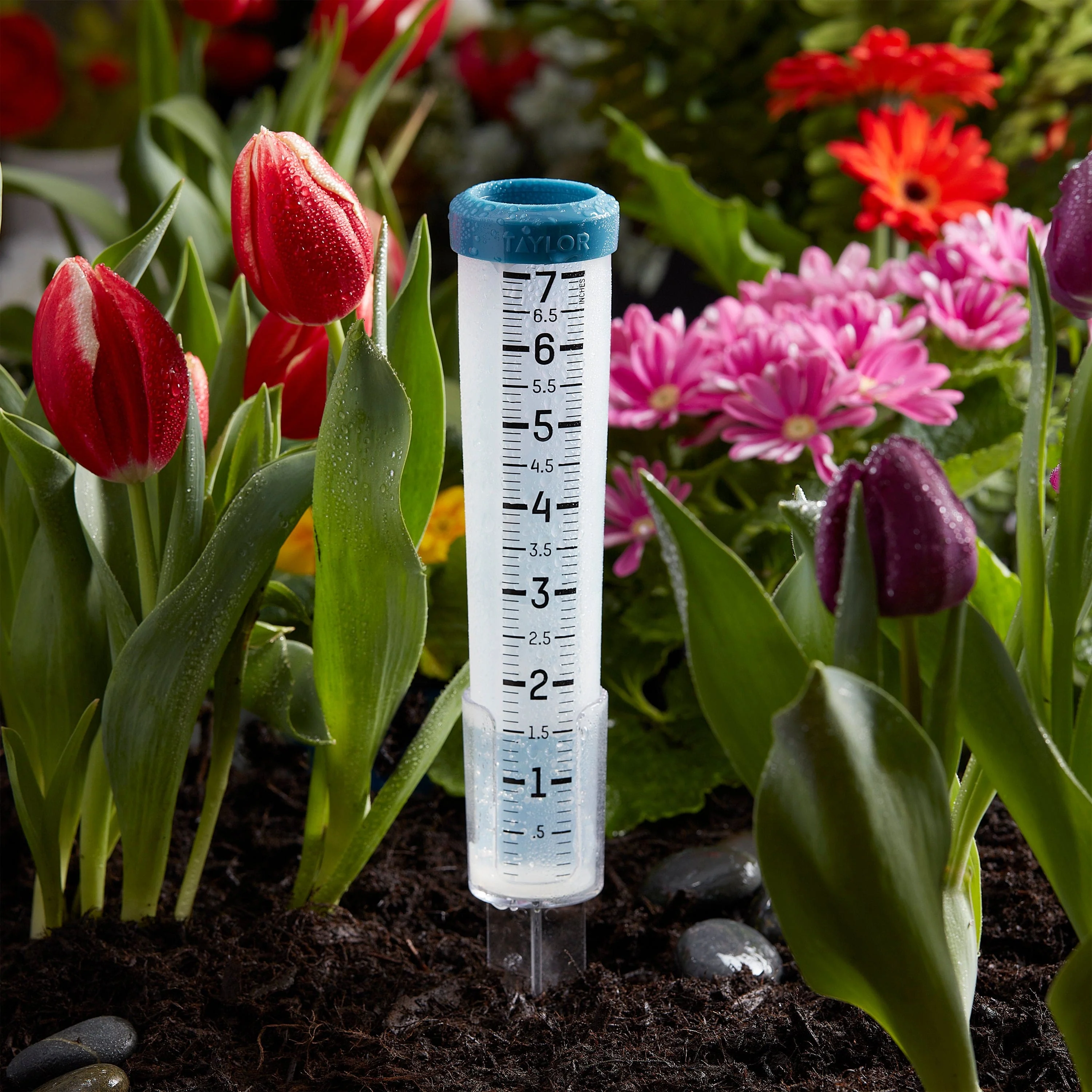 7" Silicone Rain Gauge - Image 4