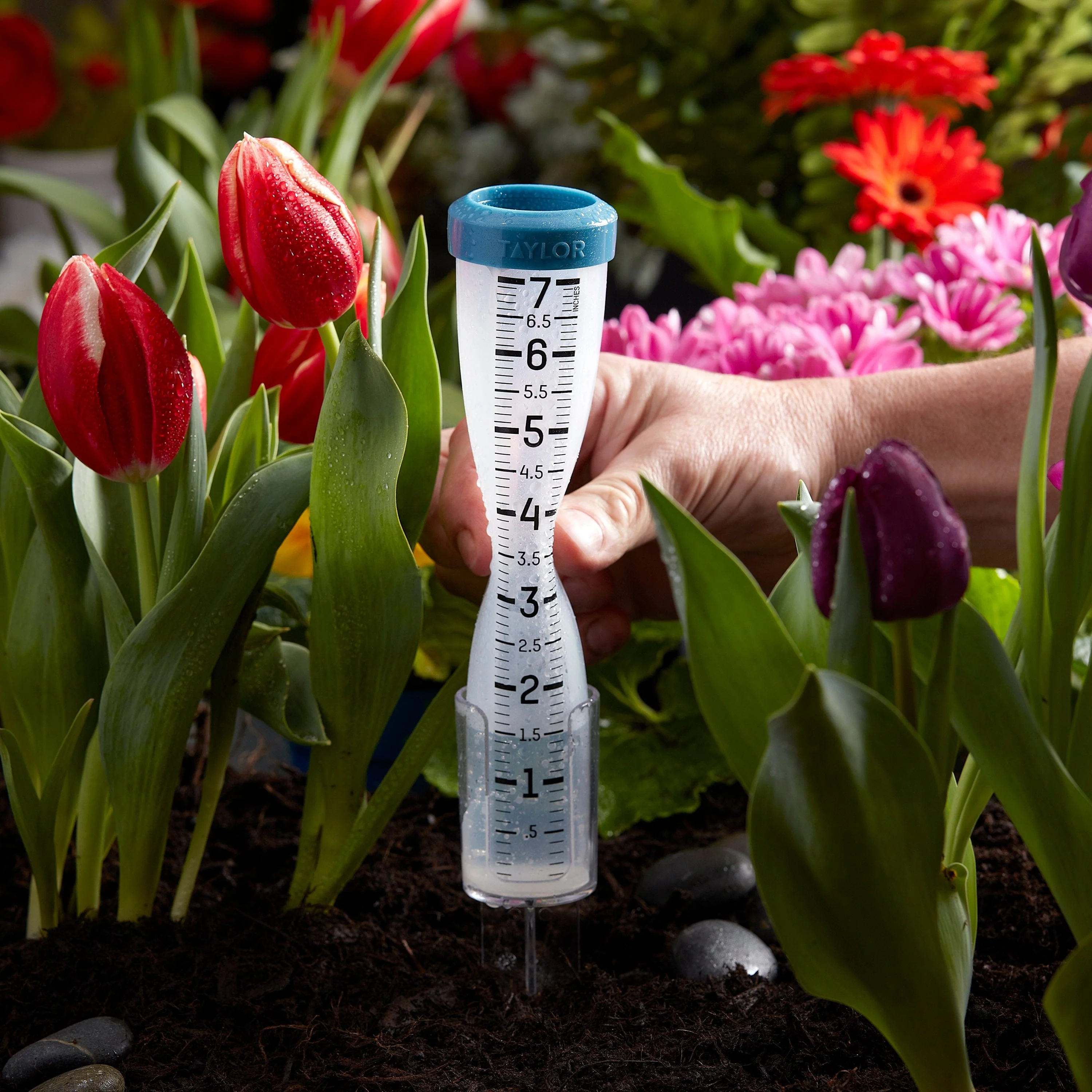 7" Silicone Rain Gauge - Image 5