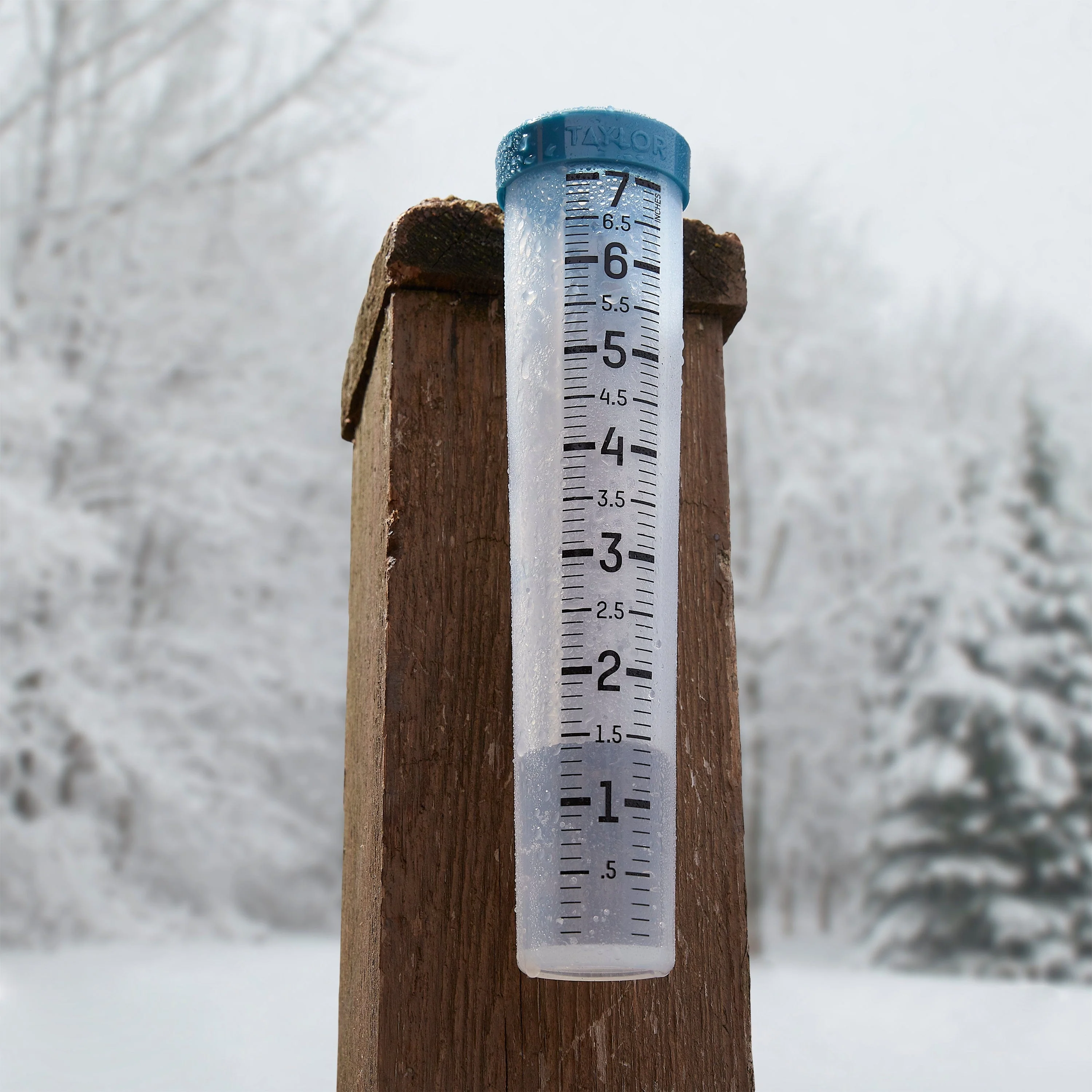 7" Silicone Rain Gauge - Image 6