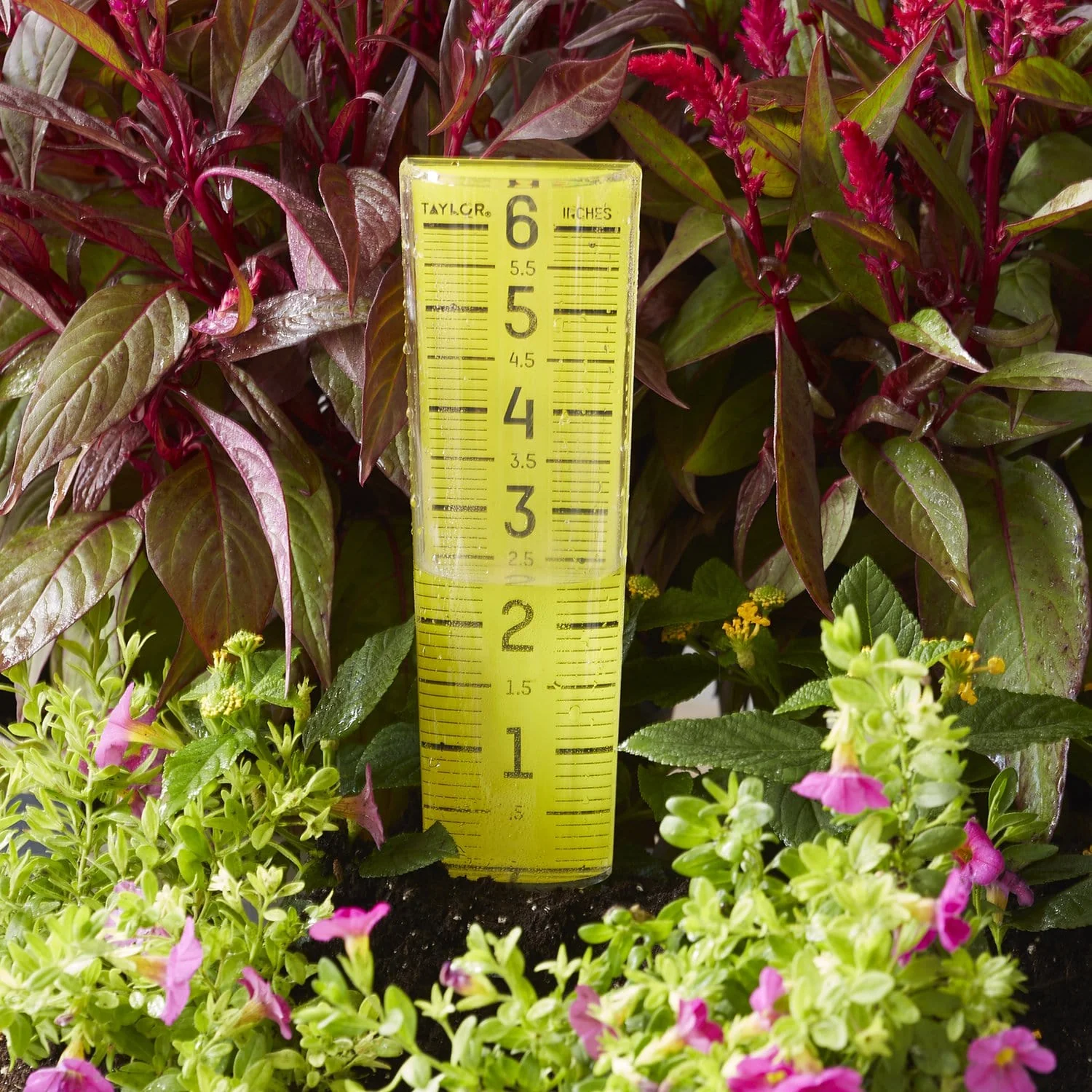 ClearVu 6" Capacity Rain/Sprinkler Gauge - Image 3