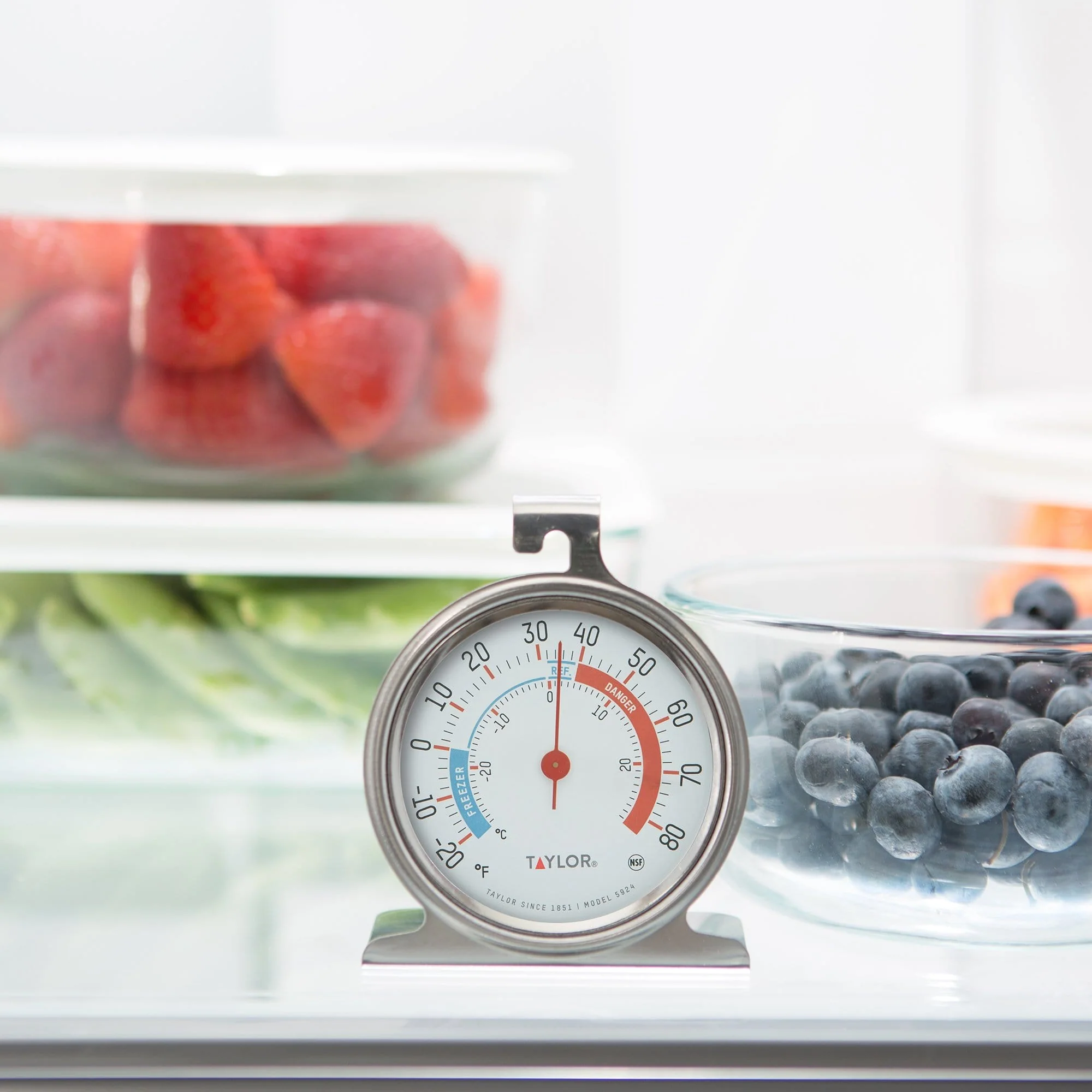 Fridge/Freezer Thermometer - Image 3