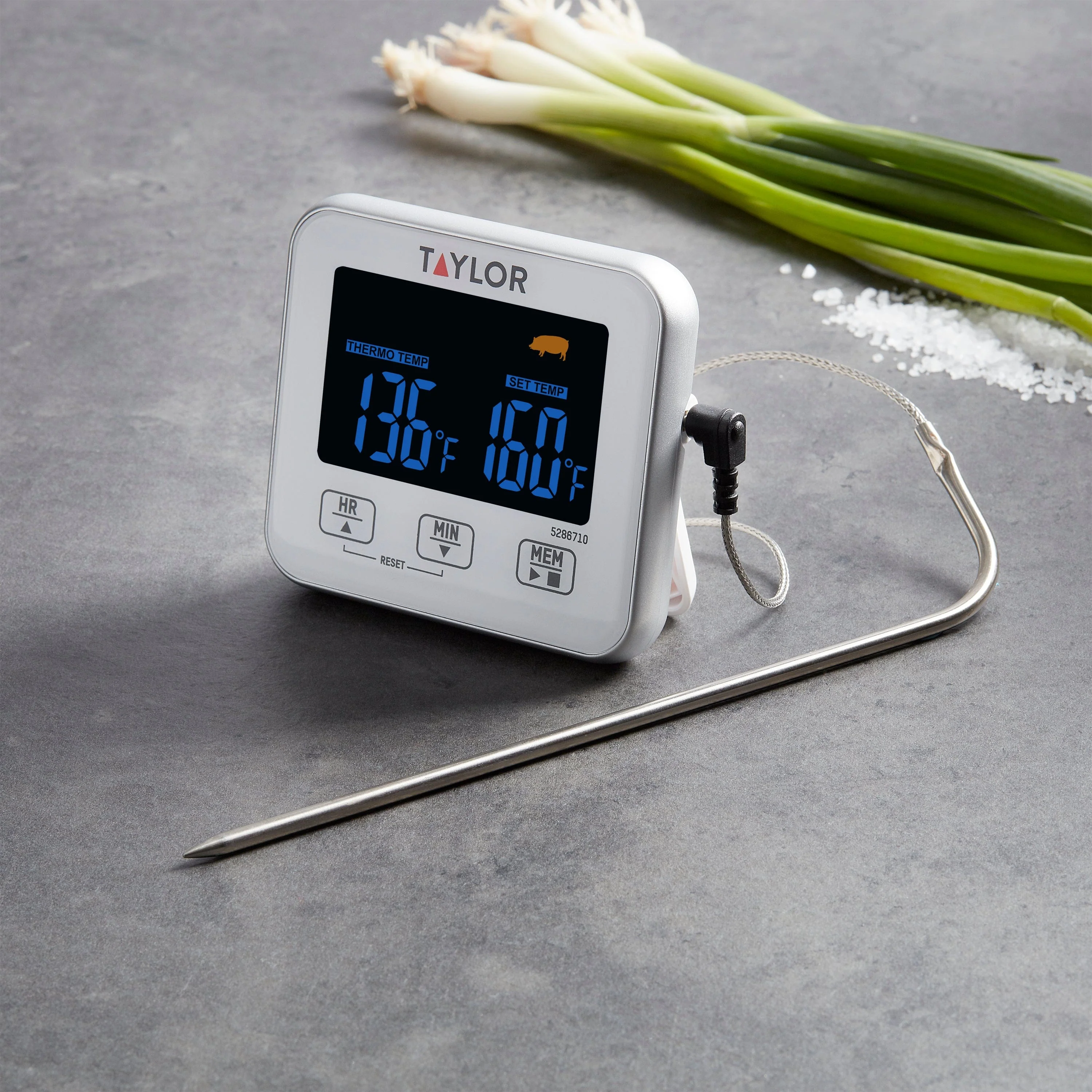 Programmable Digital Wired Thermometer - Image 2