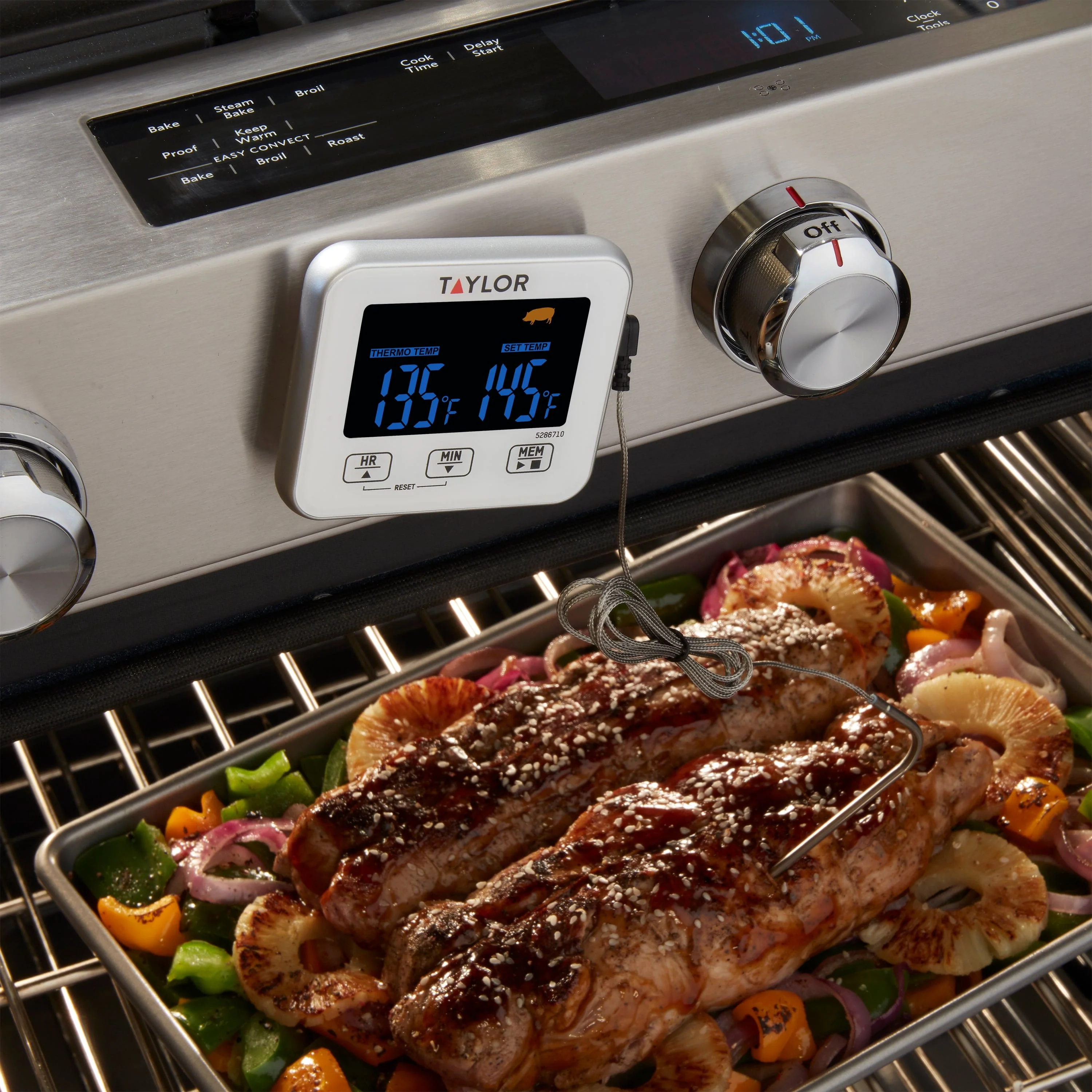 Programmable Digital Wired Thermometer - Image 3