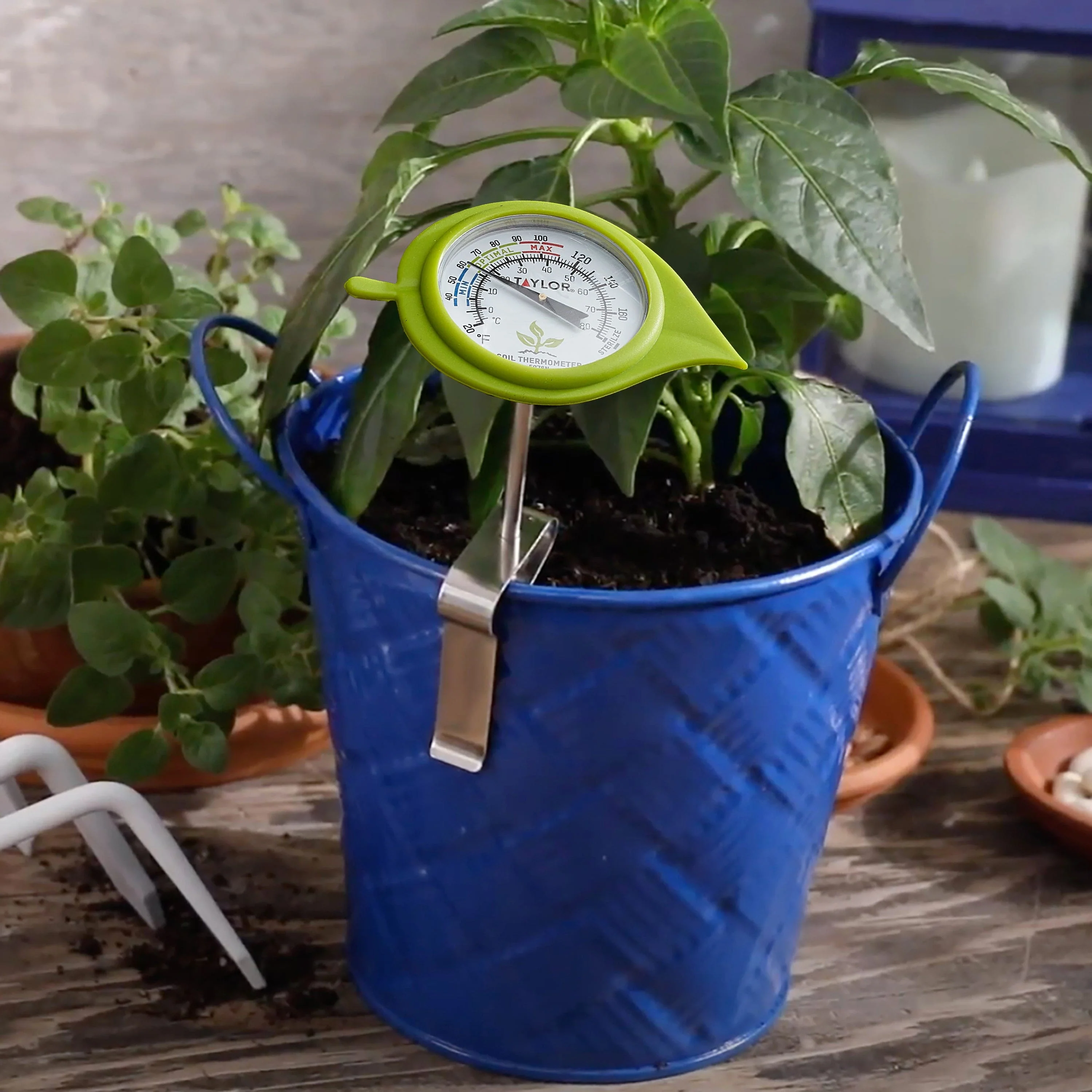 Soil Thermometer with Decorative Leaf Guard - Image 3